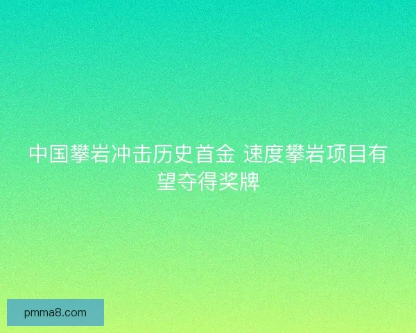 中国攀岩冲击历史首金 速度攀岩项目有望夺得奖牌 中国攀岩冲击历史首金 速度攀岩项目有望夺得奖牌